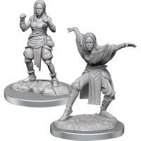 Pathfinder Deep Cuts: Half-Elf Monk Females - M&ouml;nchin