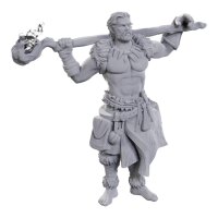 D&D Nolzurs Marvelous Miniatures: Archdruid &...