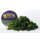 Hobby Round: Summer 3 Color Clump Foliage Mix - Sommerlaub
