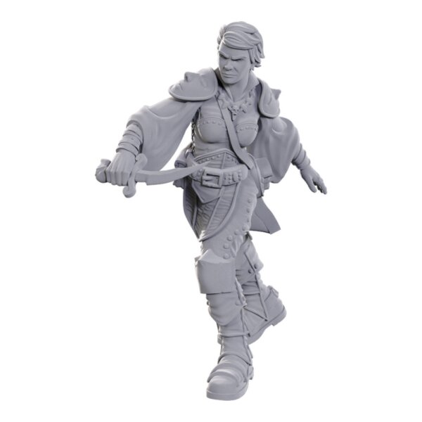 D&D Nolzurs Marvelous Miniatures: Swashbuckler
