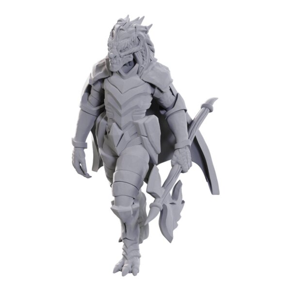 D&D Nolzurs Marvelous Miniatures: Dragonborn of Tiamat