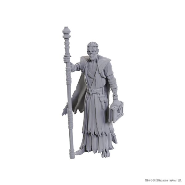 D&D Nolzurs Marvelous Miniatures: Special Edition Baldurs Gate 3 - Volo & Withers