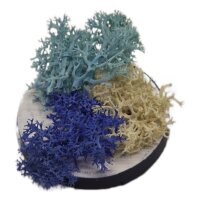 Basetopping: ICE MOOS³ (snow series)