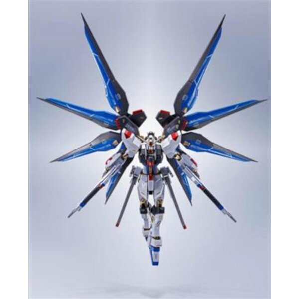 METAL ROBOT SPIRITS (SIDE MS) - Strike Freedom Gundam [Re:Coordinate]