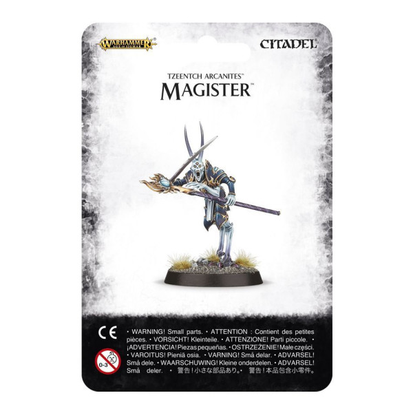 Magister