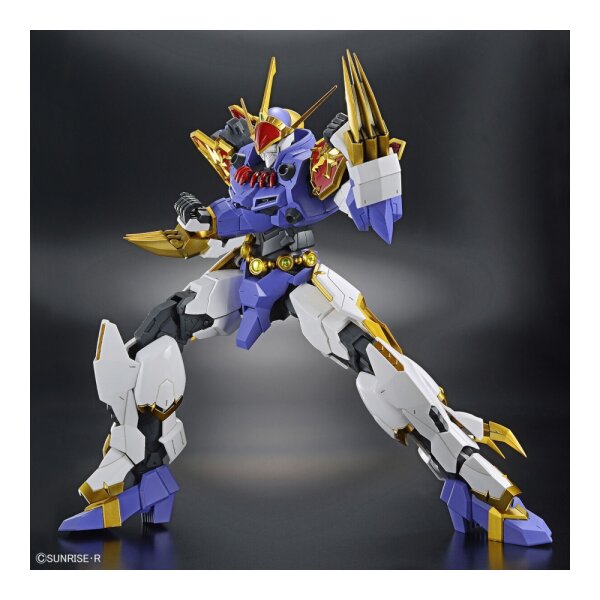HG Amplified Imgn Ryujinmaru
