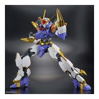 HG Amplified Imgn Ryujinmaru