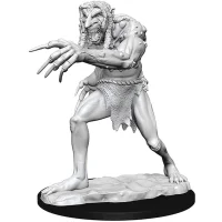 D&D Nolzur’s Marvelous Miniatures: Troll