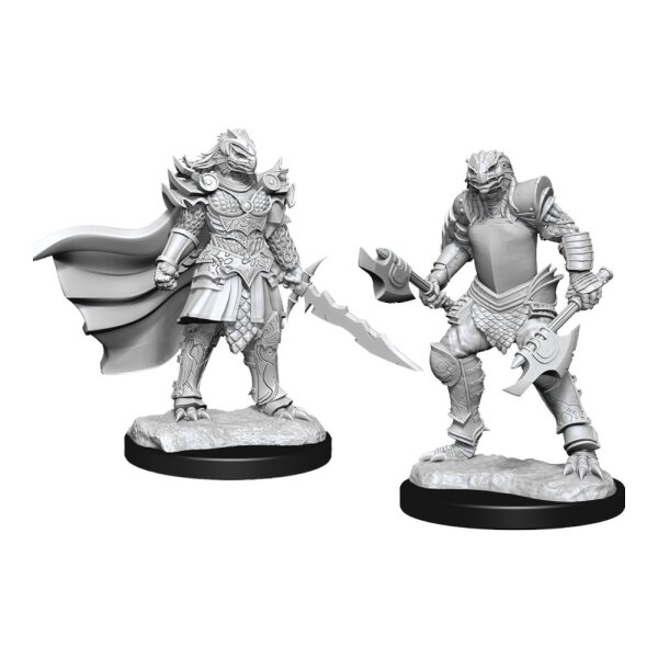 D&D Nolzurs Marvelous Miniatures: Dragonborn Fighter Female
