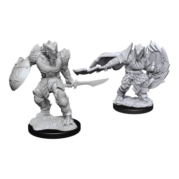 D&D Nolzurs Marvelous Miniatures: Dragonborn Fighter Male