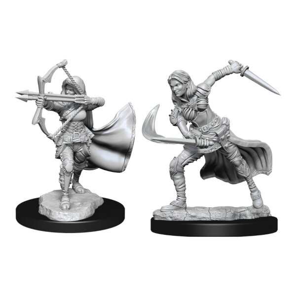 D&D Nolzurs Marvelous Miniatures: Air Genasi Female