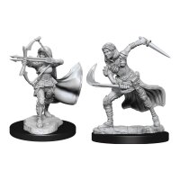 D&amp;D Nolzurs Marvelous Miniatures: Air Genasi Female
