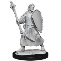 Critical Role Unpainted Miniatures: Human Clovis Concord...